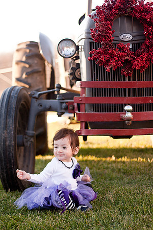 Indianapolis Family Photographer